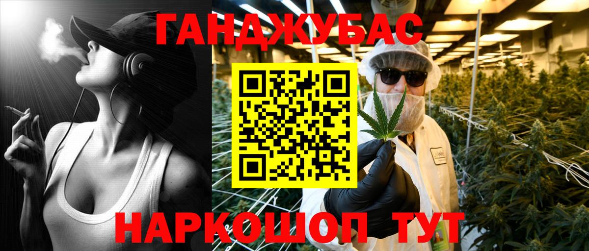 Бошки Шишки планчик Астрахань